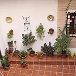 Casa con patio Toledano y terraza con vistas